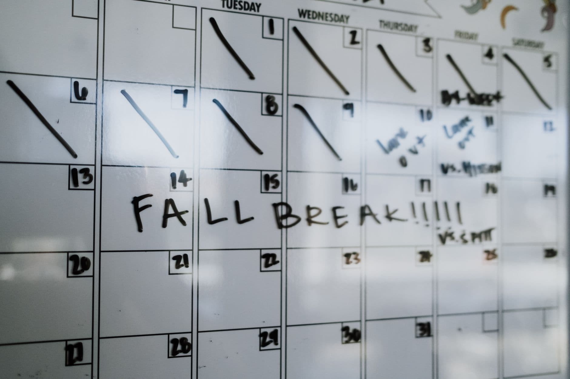 Google Calendar Sharing Permissions Explained in 2025